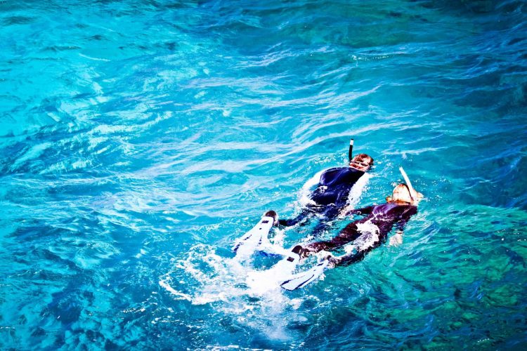 australia-great-barrier-reef-snorkelers