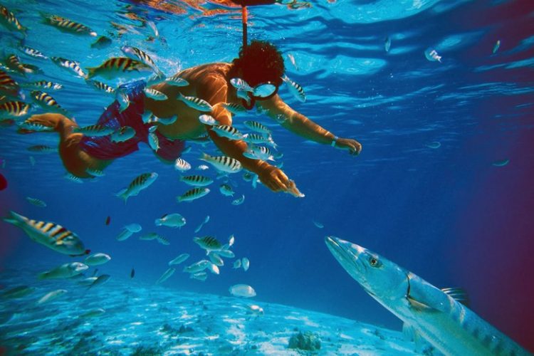 bora-bora-snorkeling